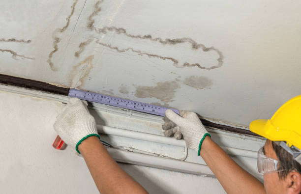 Reliable Sewage Cleanup contractor in Bristol, NH by Water Damage Irwin